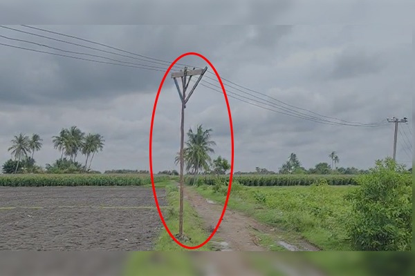 மின் கம்பத்திற்கு பதிலாக மரக் குச்சிகள்!