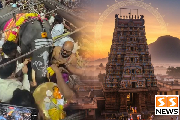 திருவண்ணாமலை அண்ணாமலையார் கோயிலுக்கு வந்த ஷீராலால்! ராஜகோபுரம் முன் சிறப்பு பூஜை !