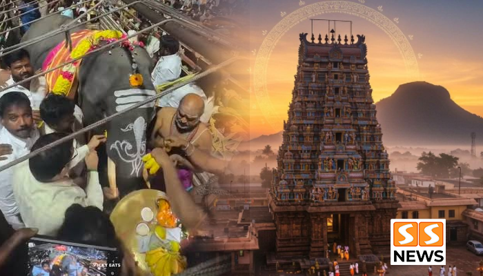 திருவண்ணாமலை அண்ணாமலையார் கோயிலுக்கு வந்த ஷீராலால்! ராஜகோபுரம் முன் சிறப்பு பூஜை !