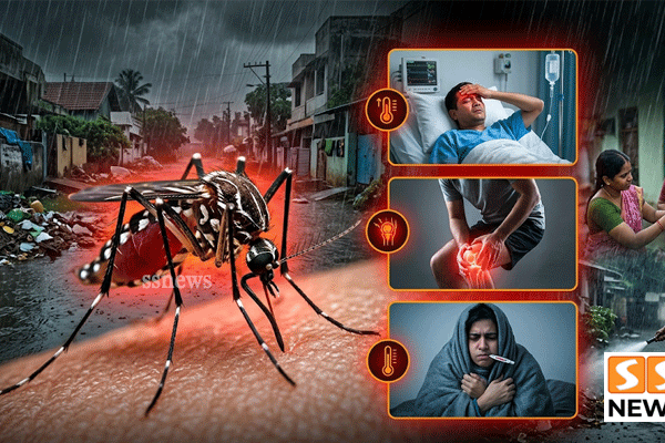 ஒரே கொசு… 3 கொடிய காய்ச்சல்கள்! மழைக்காலத்தில் மக்கள் உஷார்!