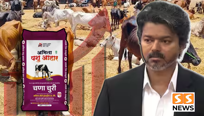 தீவன விலை உயர்வு.. கால்நடை வளர்ப்போர் கவலை! தமிழக அரசு நடவடிக்கை எடுக்குமா?