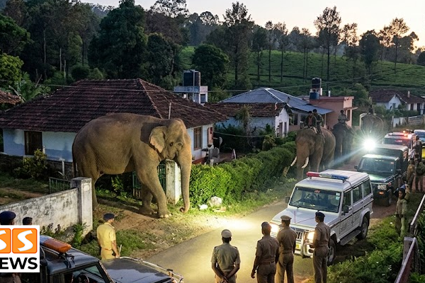 கூடலூர் குடியிருப்புக்குள் புகுந்த மக்னா யானை.. விடிய விடிய கண்காணிப்பில் வனத்துறையினர்!