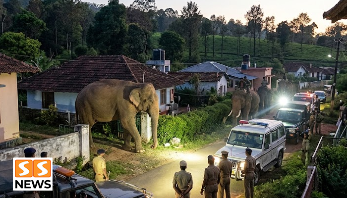 கூடலூர் குடியிருப்புக்குள் புகுந்த மக்னா யானை.. விடிய விடிய கண்காணிப்பில் வனத்துறையினர்!